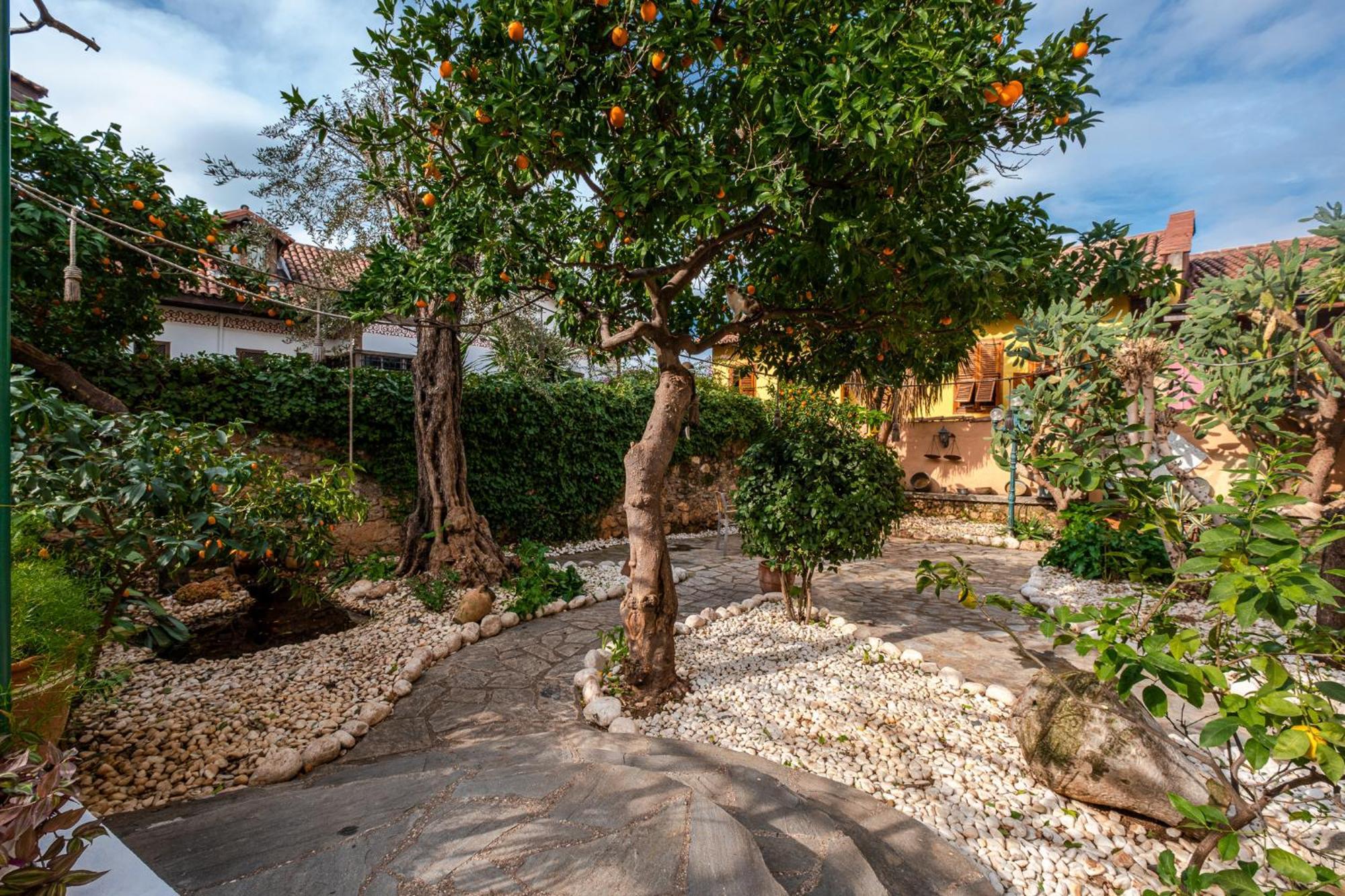 אנטליה Villa Tulipan מראה חיצוני תמונה