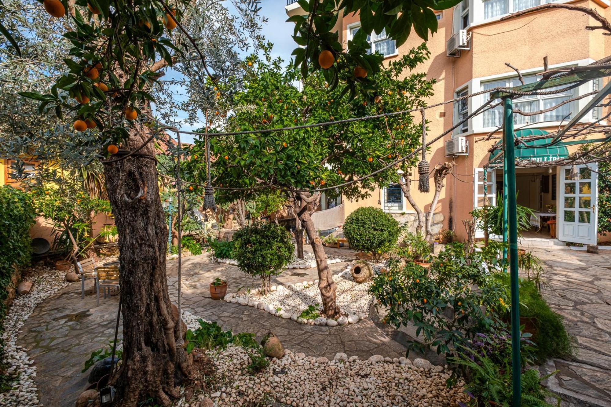 אנטליה Villa Tulipan מראה חיצוני תמונה