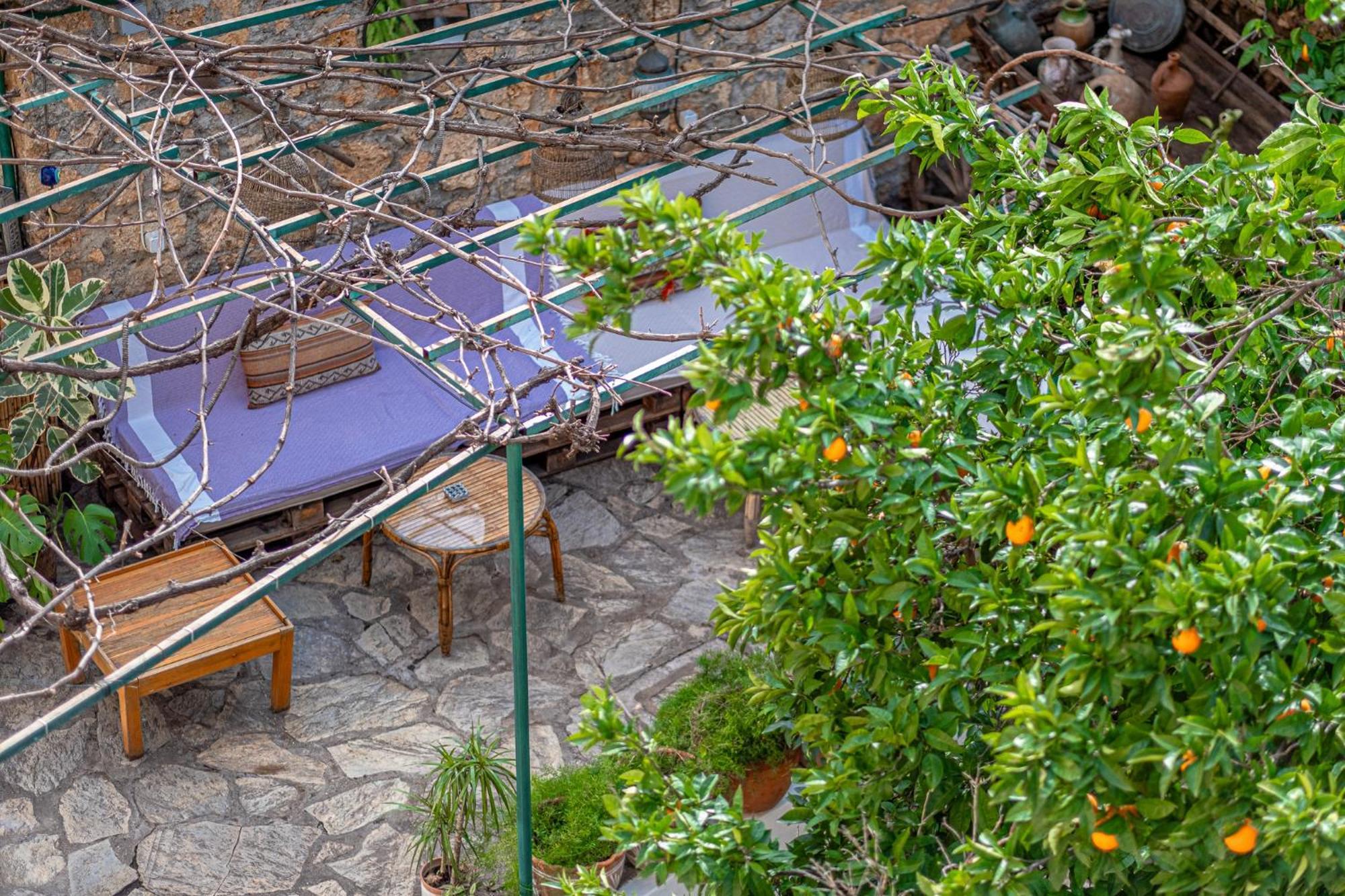 אנטליה Villa Tulipan מראה חיצוני תמונה