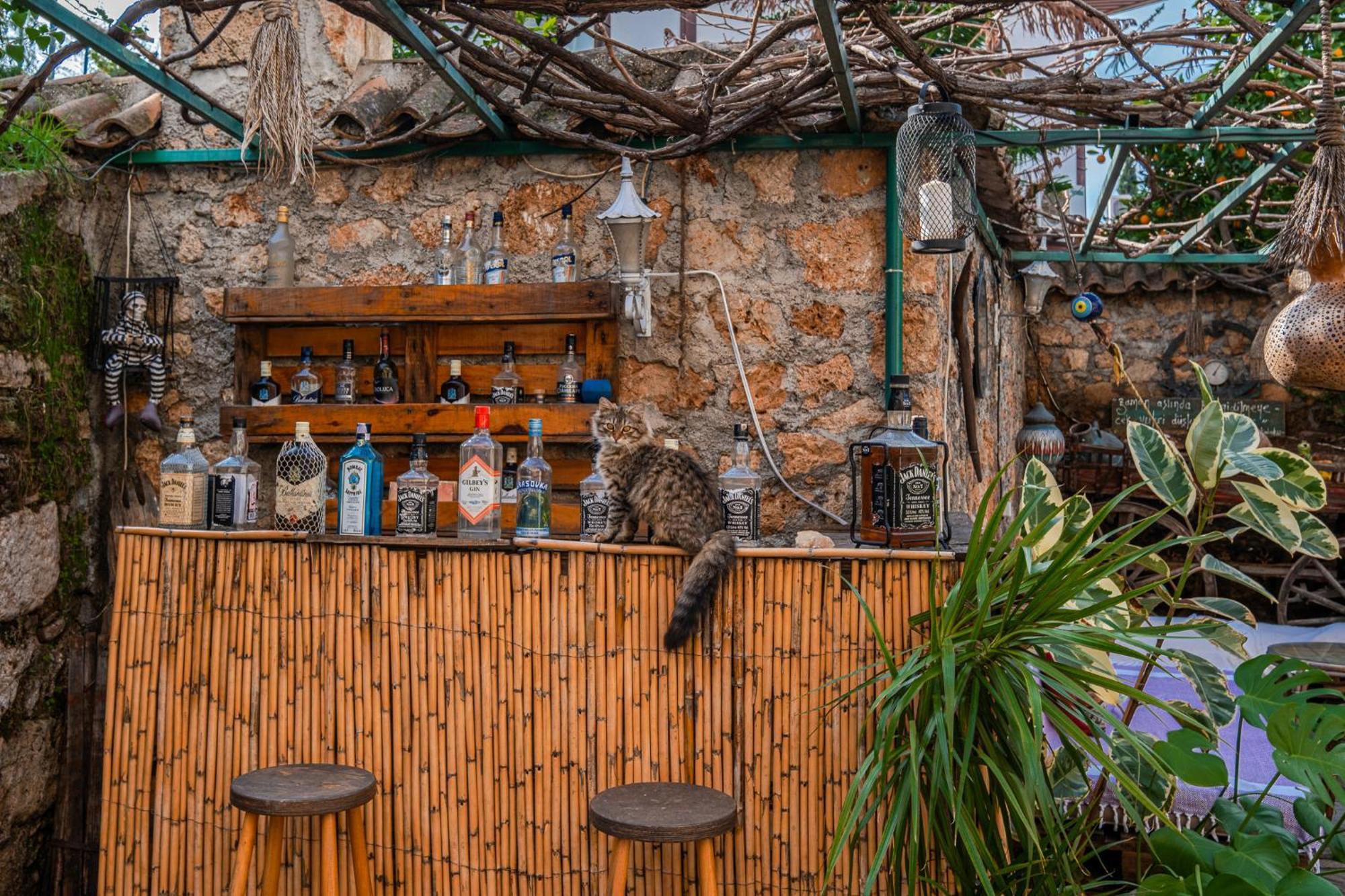 אנטליה Villa Tulipan מראה חיצוני תמונה