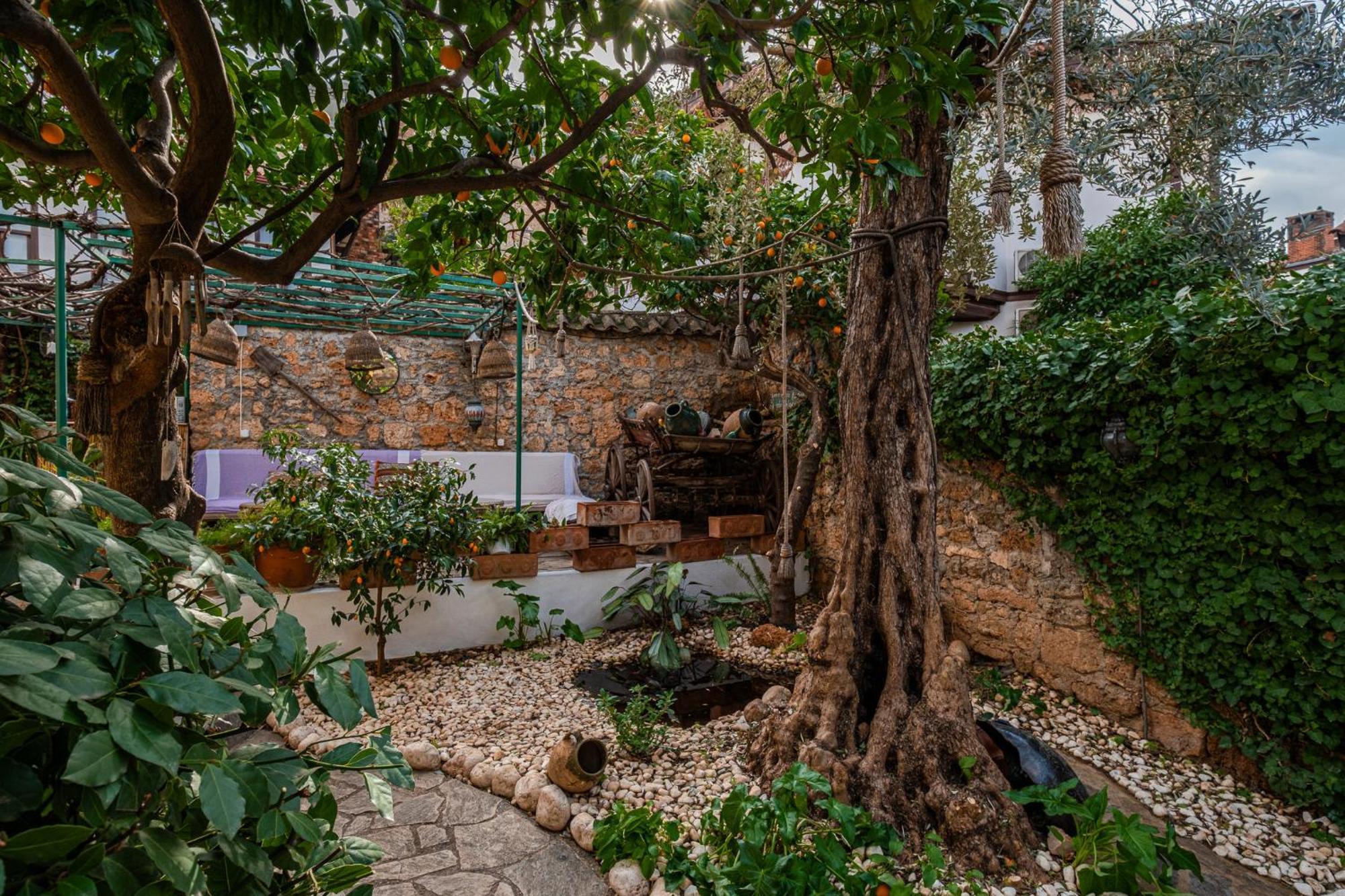 אנטליה Villa Tulipan מראה חיצוני תמונה