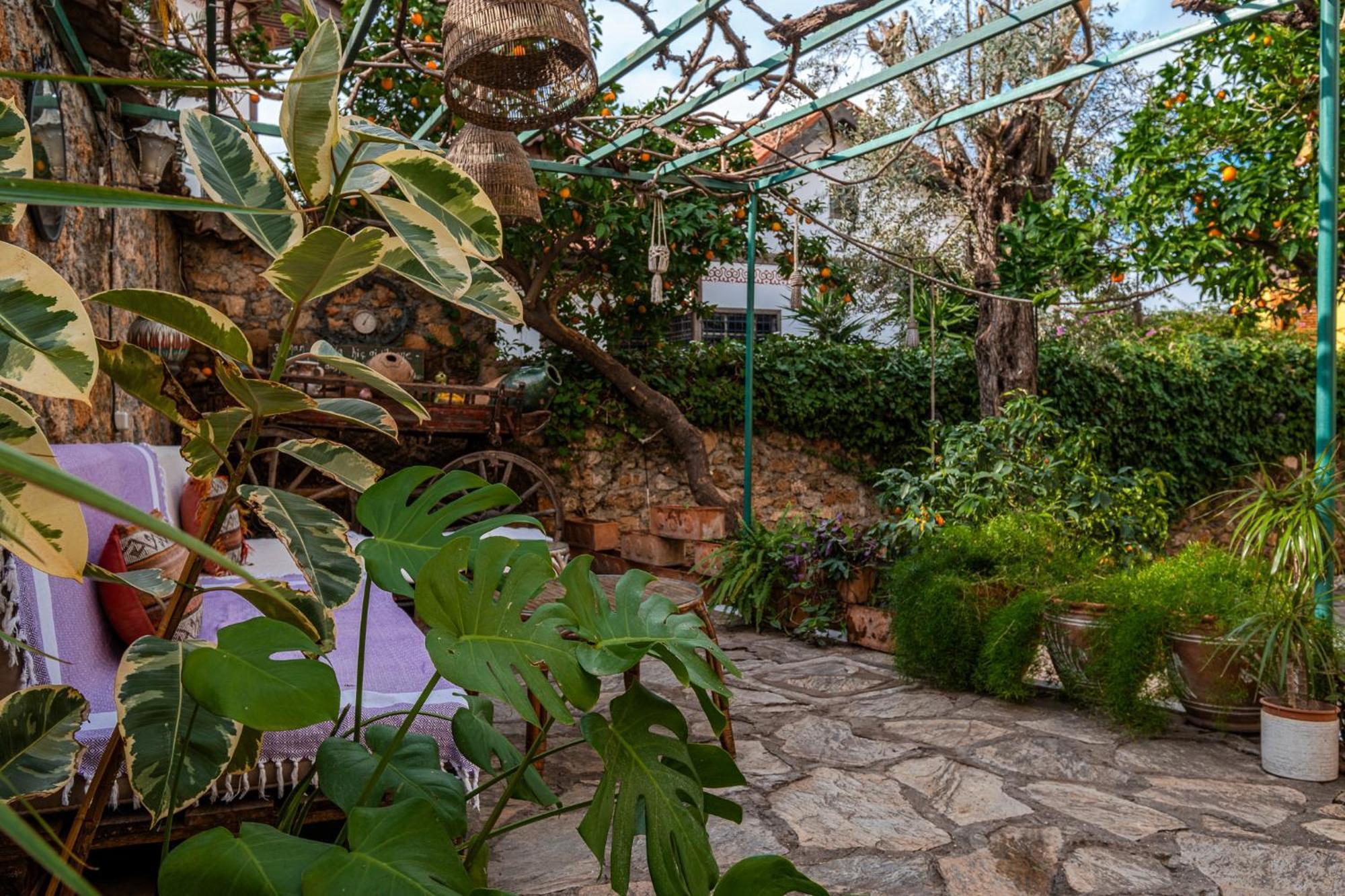 אנטליה Villa Tulipan מראה חיצוני תמונה